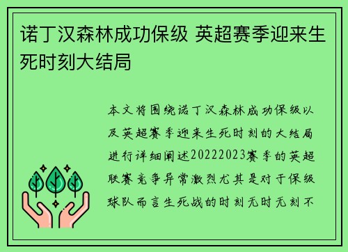 诺丁汉森林成功保级 英超赛季迎来生死时刻大结局